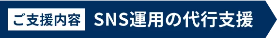 ご支援内容 SNS運用の代行支援