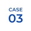 CASE03